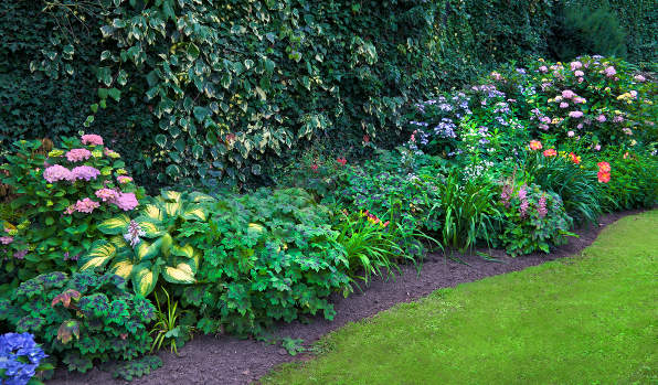overgrown-garden overgrown garden