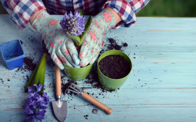 What to Plant This Fall to Achieve Your Spring Garden Goals